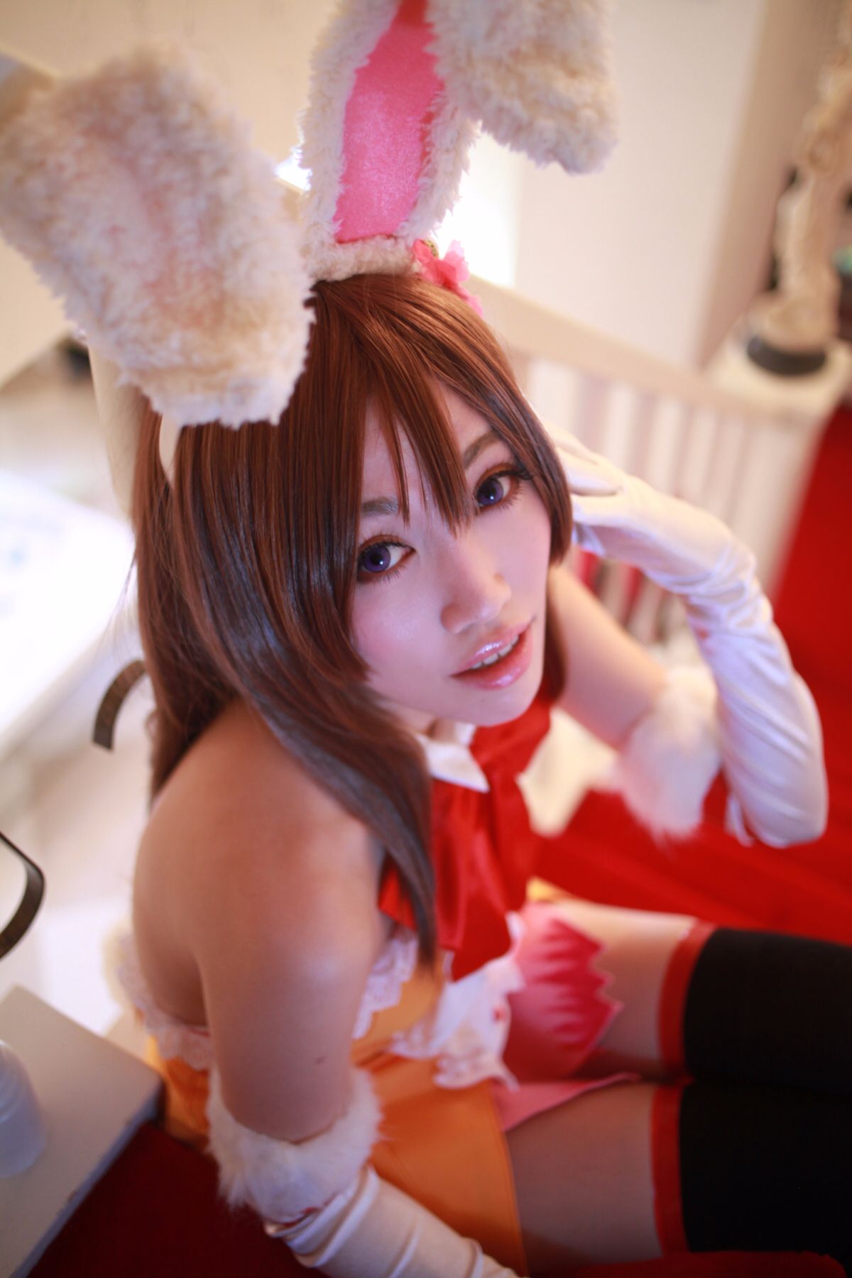 [LA ・ in⌒☆]] Bộ sưu tập cô gái Cinderella