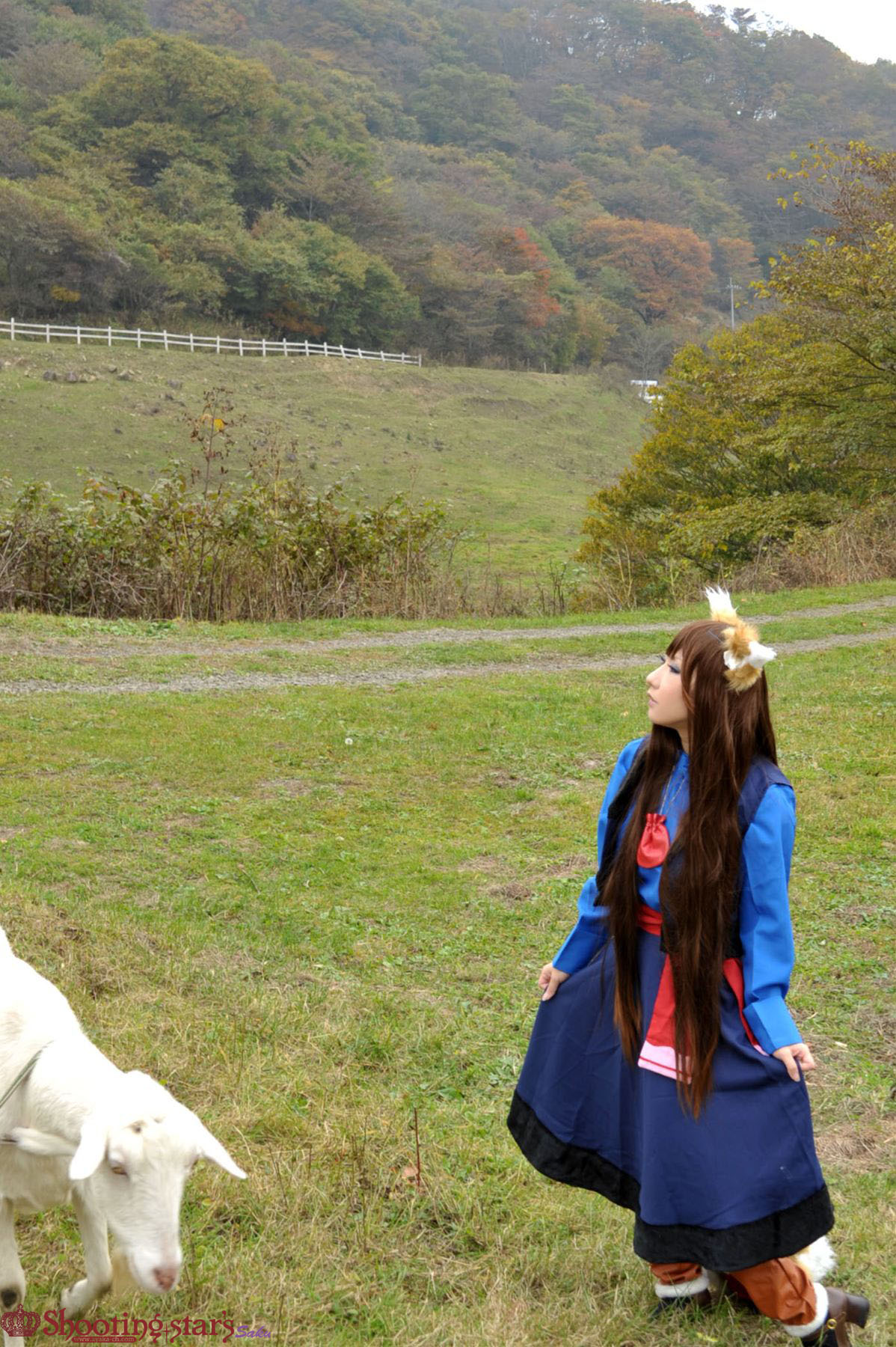 [SHOET STAR's] giòn và gia vị