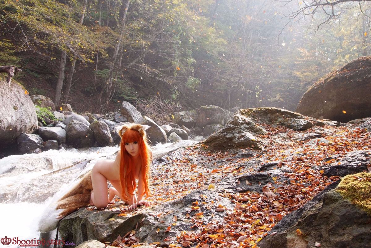 [SHOET STAR's] giòn và gia vị