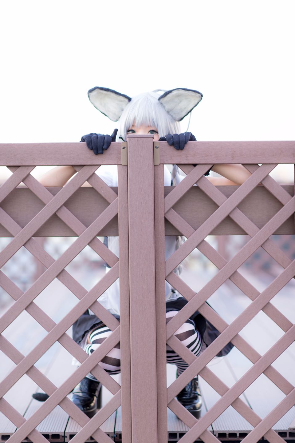 Nyaruko-san rom trên