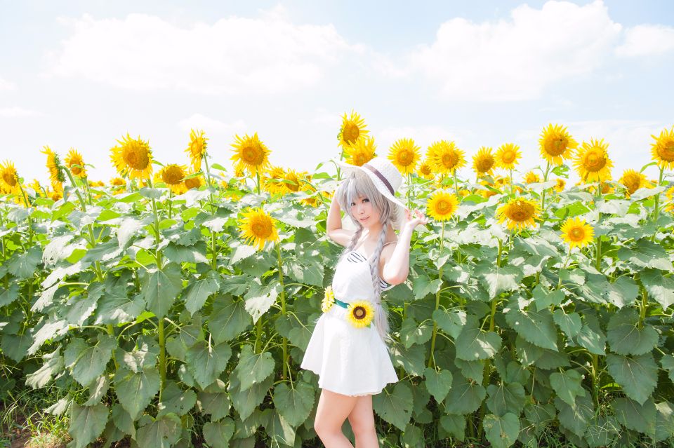 Nyaruko-san rom trên