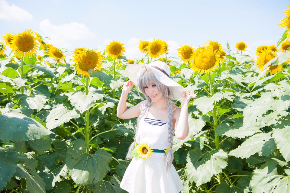 Nyaruko-san rom trên