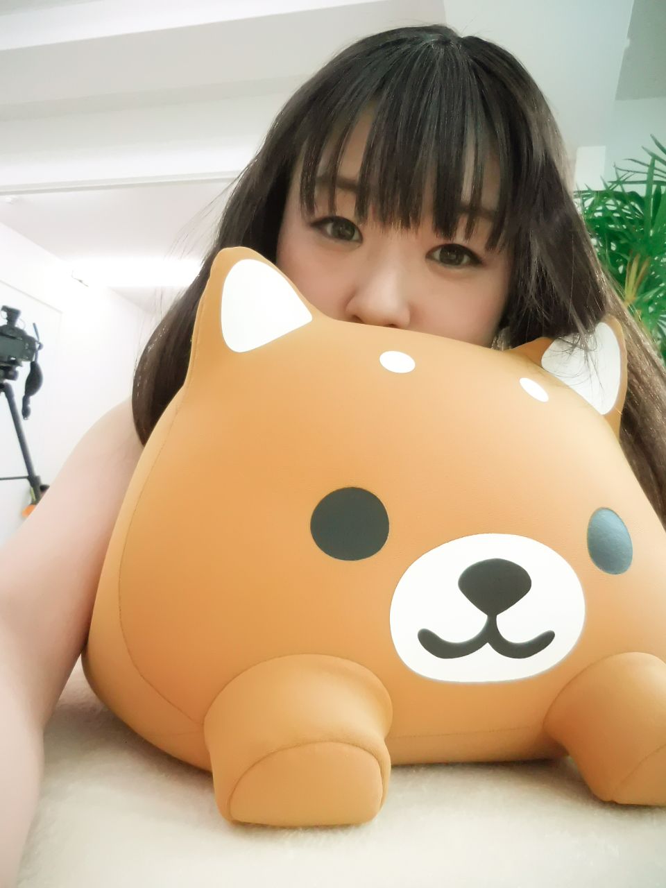 Pinky Web@tsubomin004