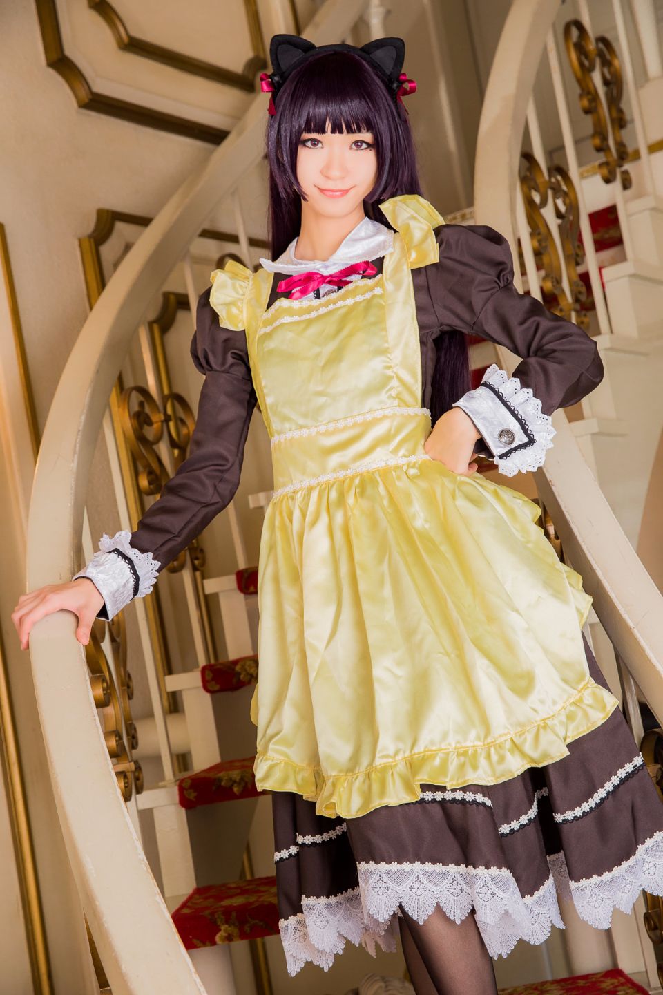 Mèo đen thay quần áo