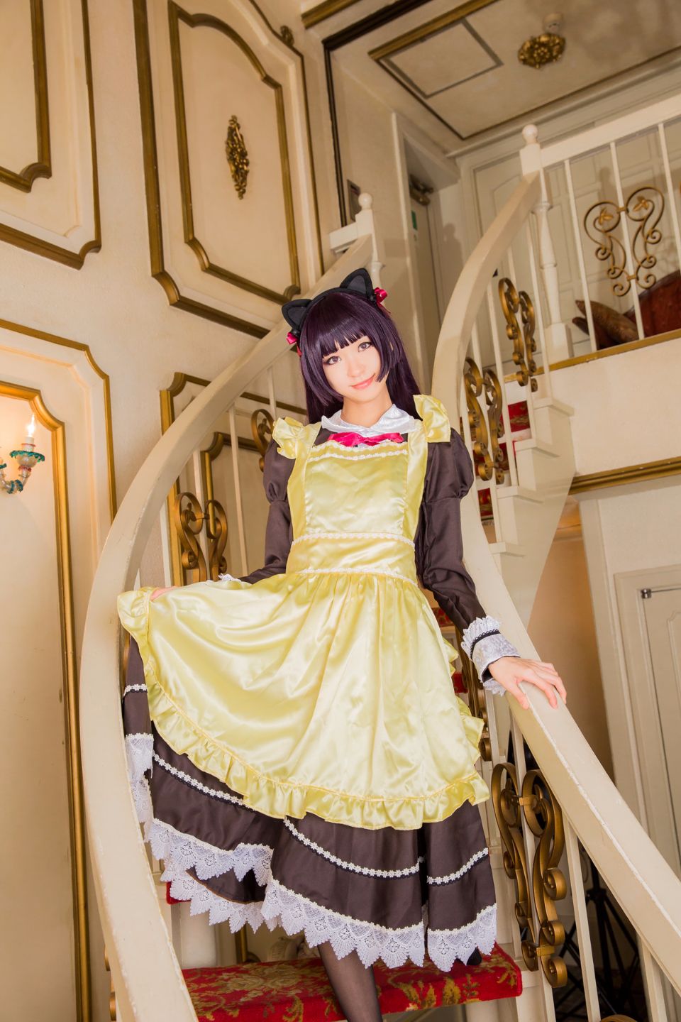 Mèo đen thay quần áo