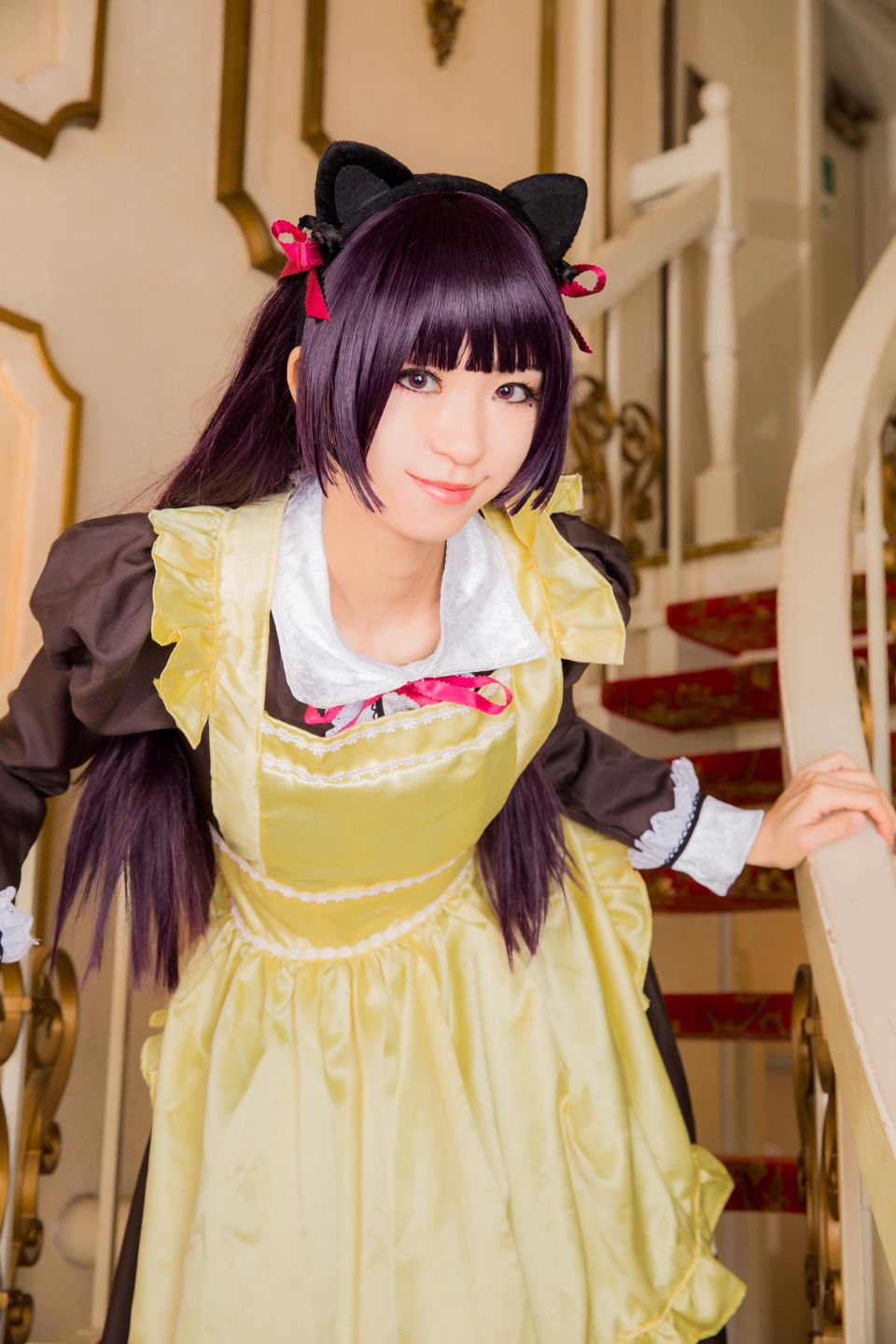 Mèo đen thay quần áo