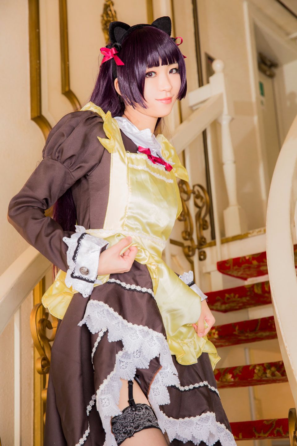 Mèo đen thay quần áo