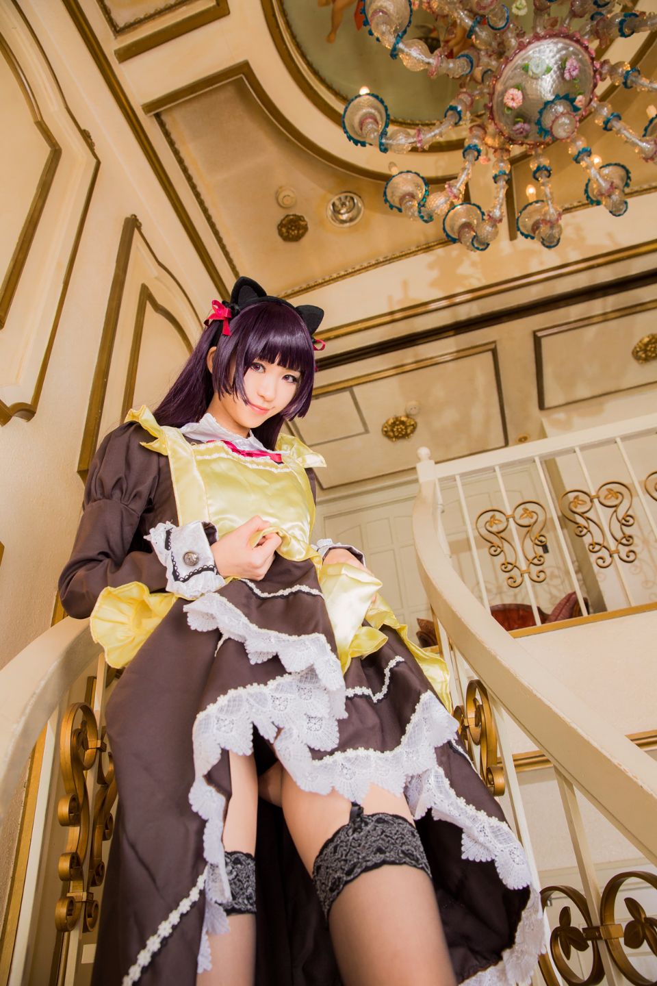 Mèo đen thay quần áo