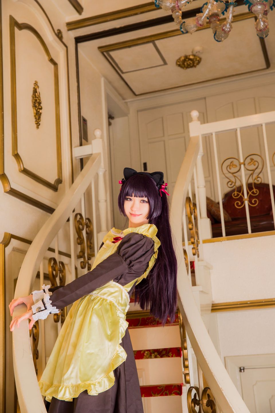 Mèo đen thay quần áo