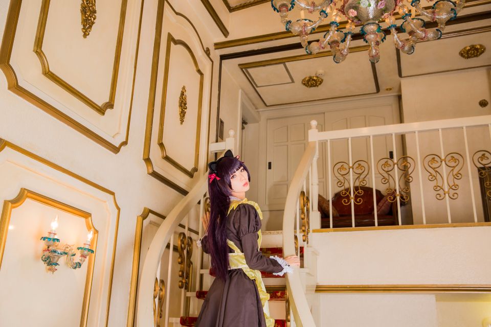 Mèo đen thay quần áo