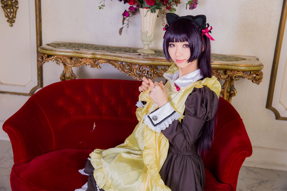 Mèo đen thay quần áo