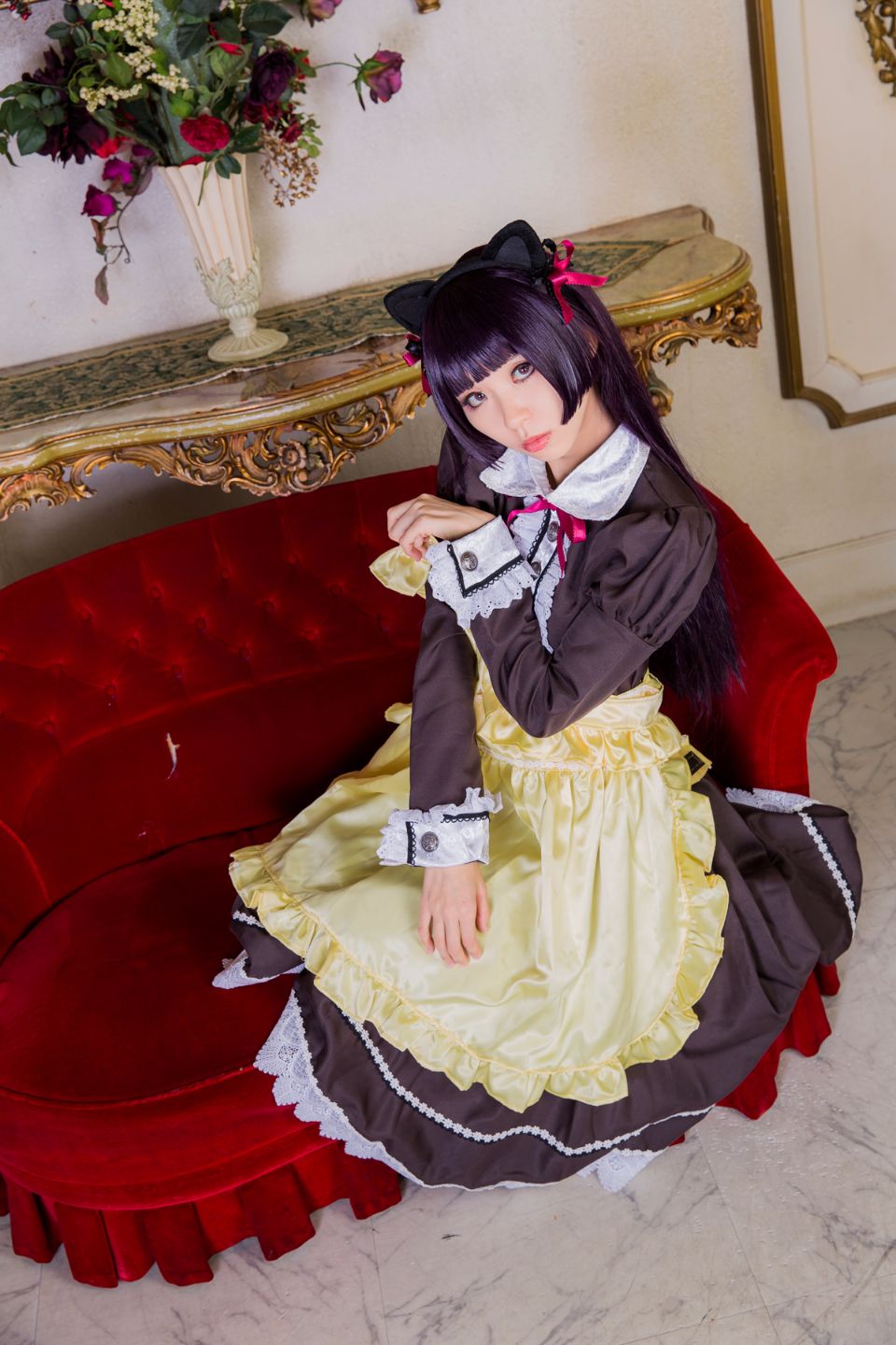 Mèo đen thay quần áo