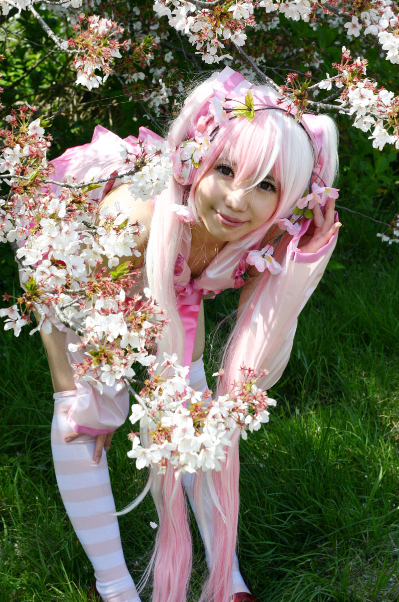 Mikku Miku Vol.1 Sakura Miku & Yuki Miku