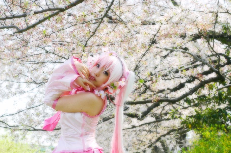 Mikku Miku Vol.1 Sakura Miku & Yuki Miku