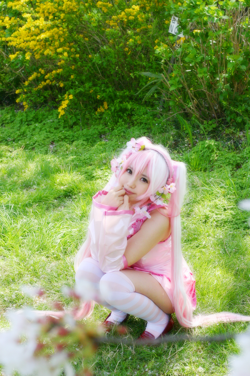 Mikku Miku Vol.1 Sakura Miku & Yuki Miku