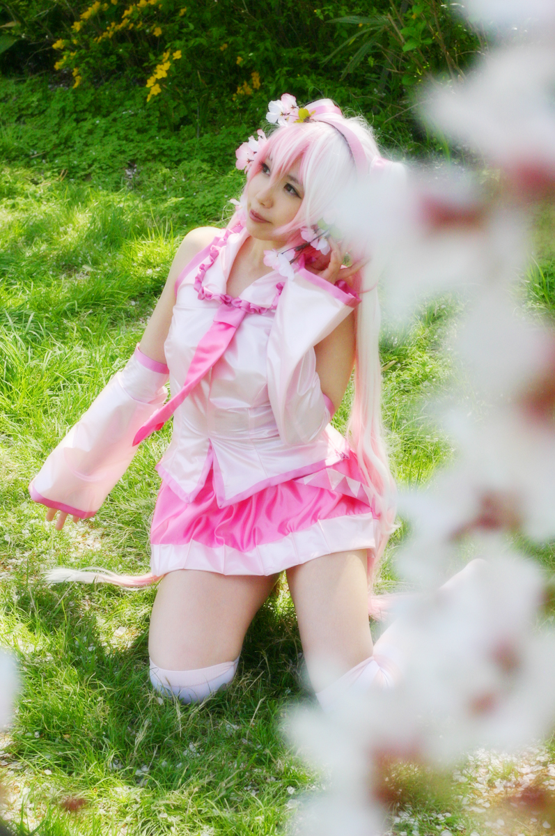 Mikku Miku Vol.1 Sakura Miku & Yuki Miku