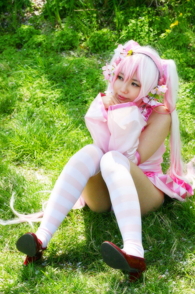 Mikku Miku Vol.1 Sakura Miku & Yuki Miku