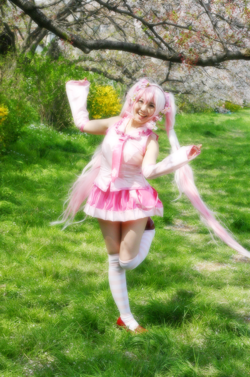 Mikku Miku Vol.1 Sakura Miku & Yuki Miku