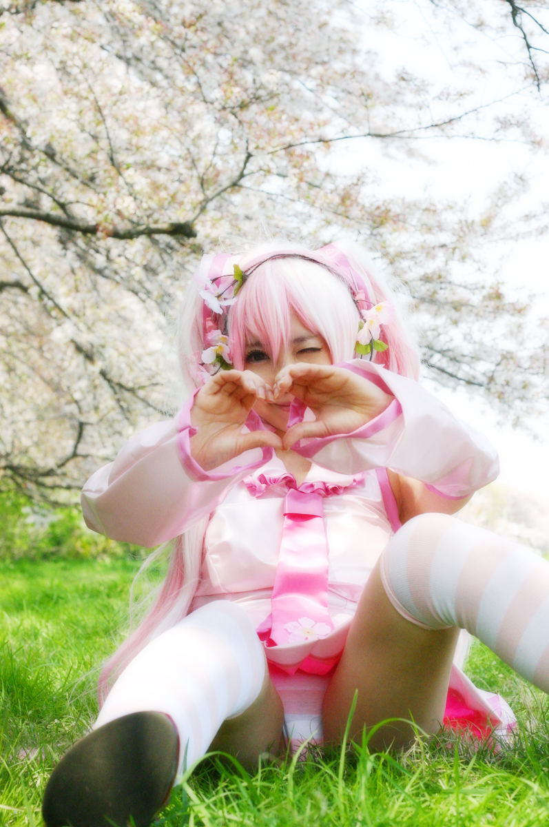 Mikku Miku Vol.1 Sakura Miku & Yuki Miku