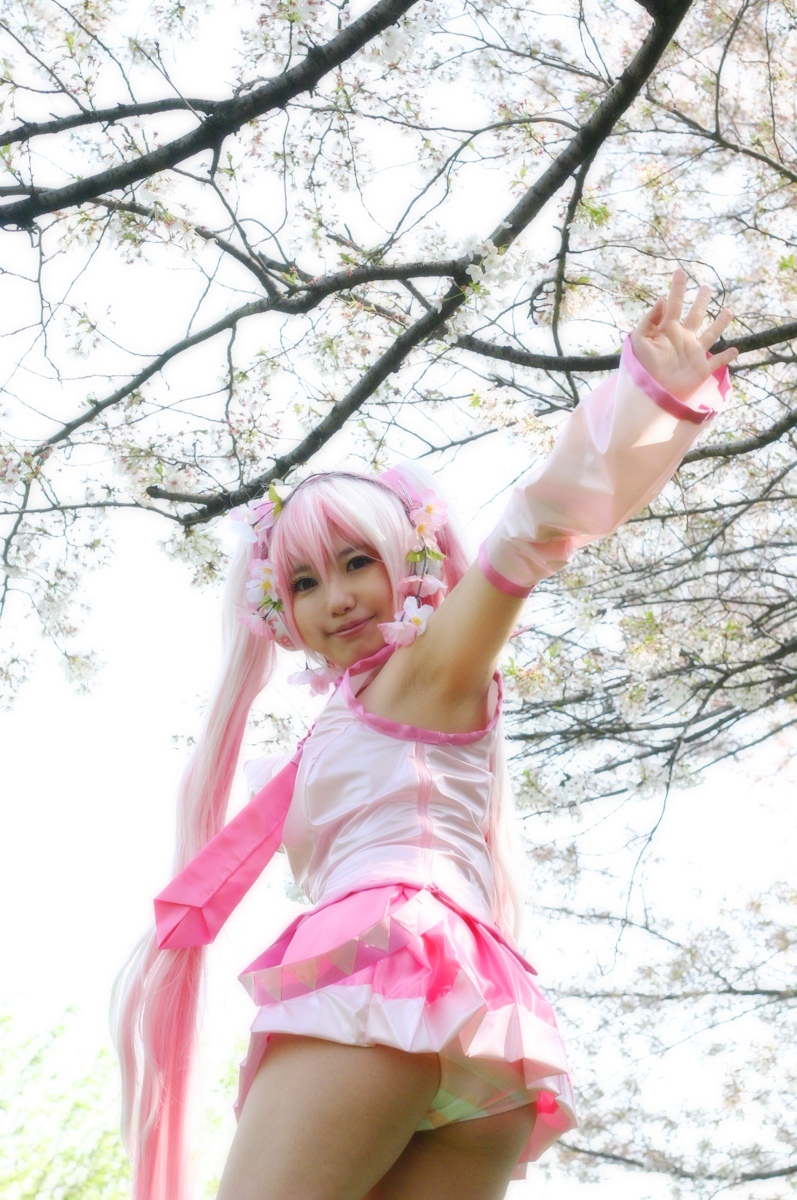 Mikku Miku Vol.1 Sakura Miku & Yuki Miku