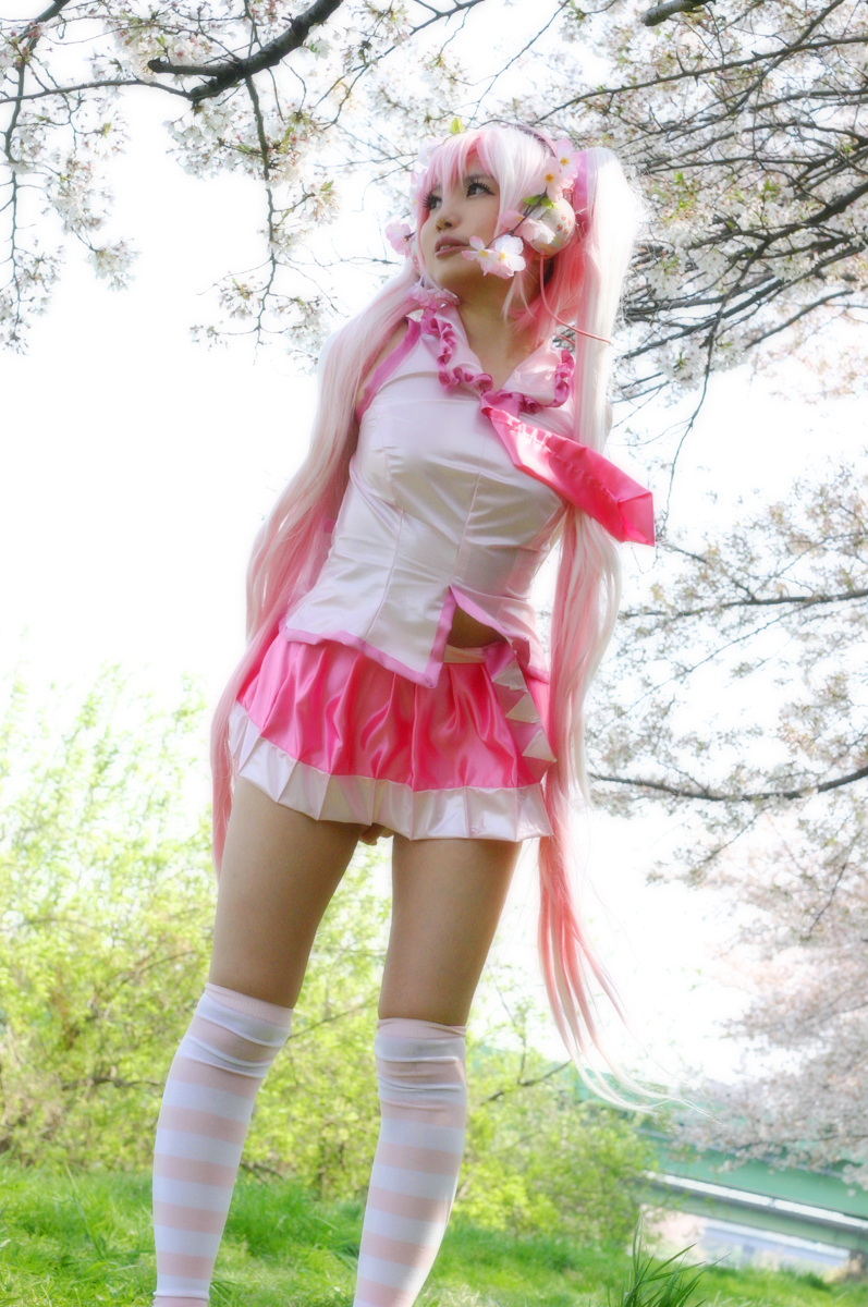 Mikku Miku Vol.1 Sakura Miku & Yuki Miku