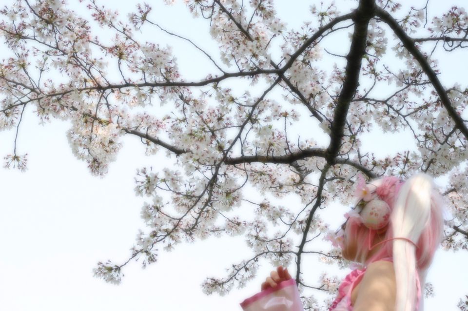 Mikku Miku Vol.1 Sakura Miku & Yuki Miku