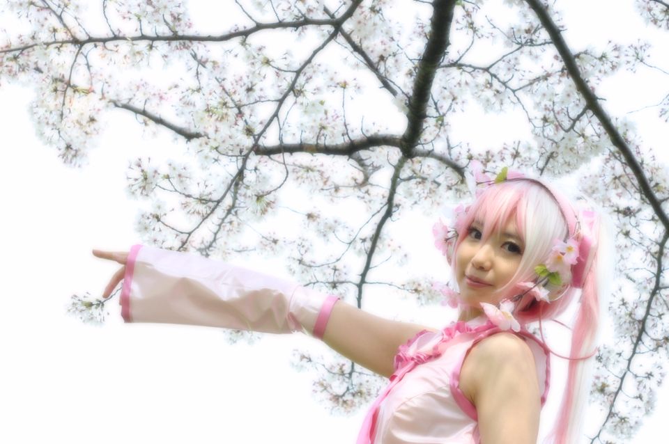 Mikku Miku Vol.1 Sakura Miku & Yuki Miku