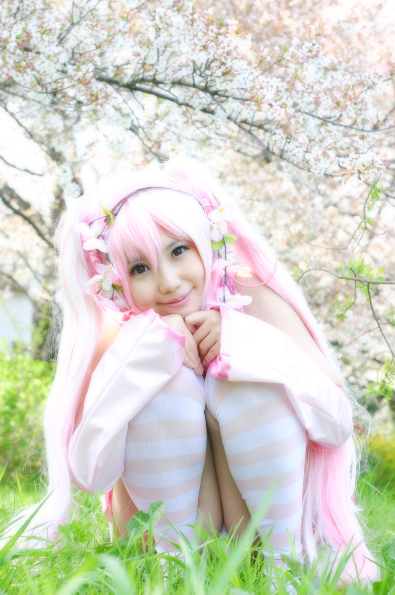 Mikku Miku Vol.1 Sakura Miku & Yuki Miku