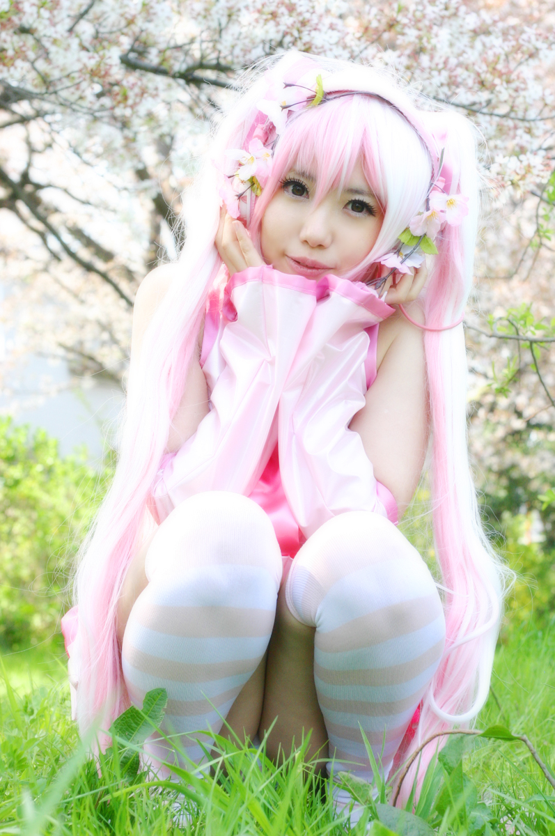 Mikku Miku Vol.1 Sakura Miku & Yuki Miku