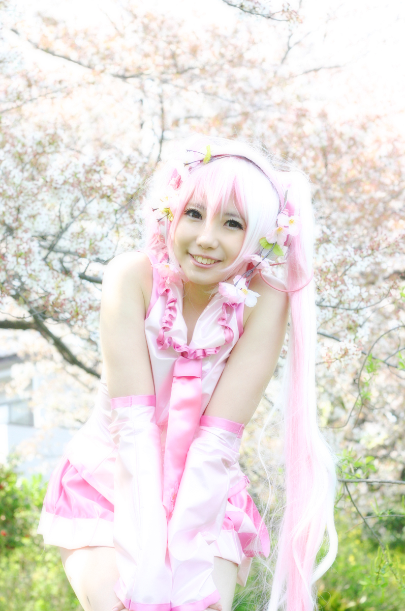 Mikku Miku Vol.1 Sakura Miku & Yuki Miku