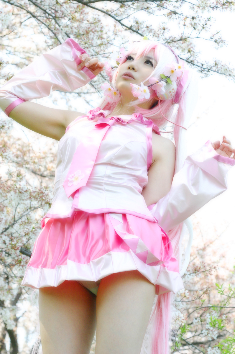 Mikku Miku Vol.1 Sakura Miku & Yuki Miku