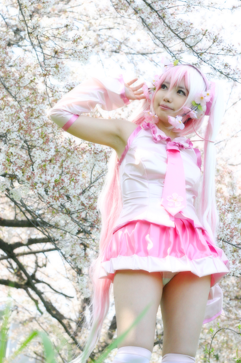 Mikku Miku Vol.1 Sakura Miku & Yuki Miku