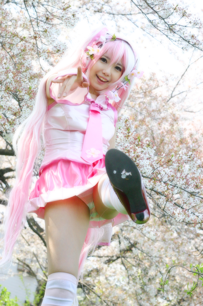 Mikku Miku Vol.1 Sakura Miku & Yuki Miku