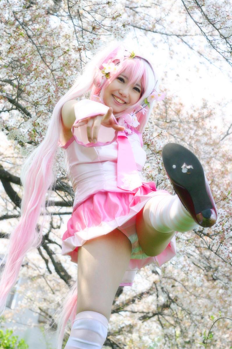 Mikku Miku Vol.1 Sakura Miku & Yuki Miku