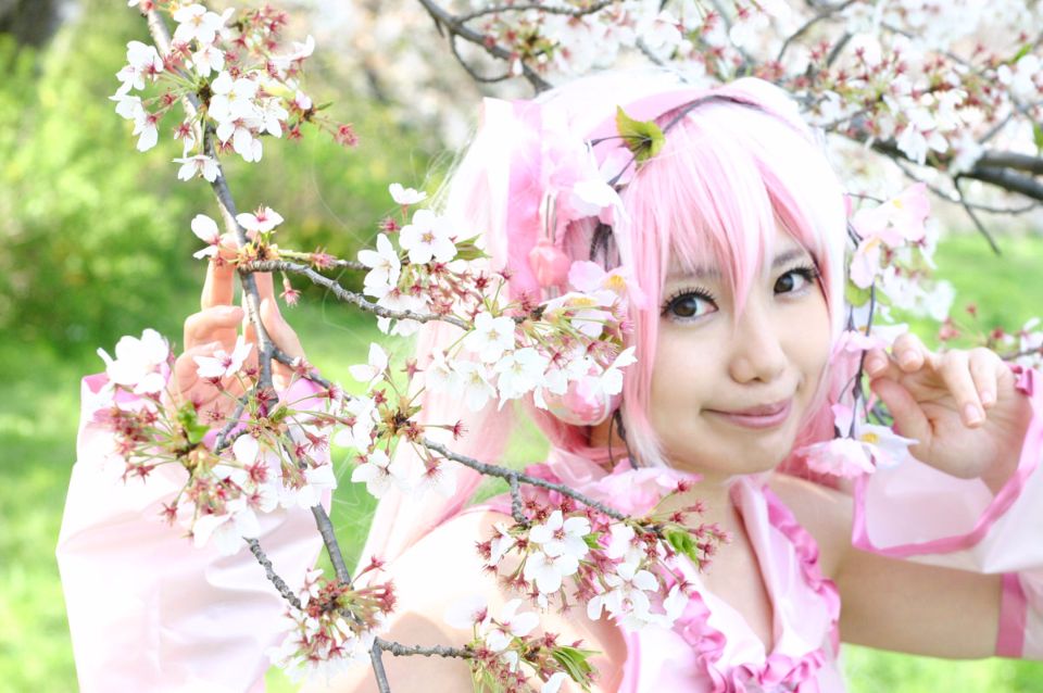 Mikku Miku Vol.1 Sakura Miku & Yuki Miku