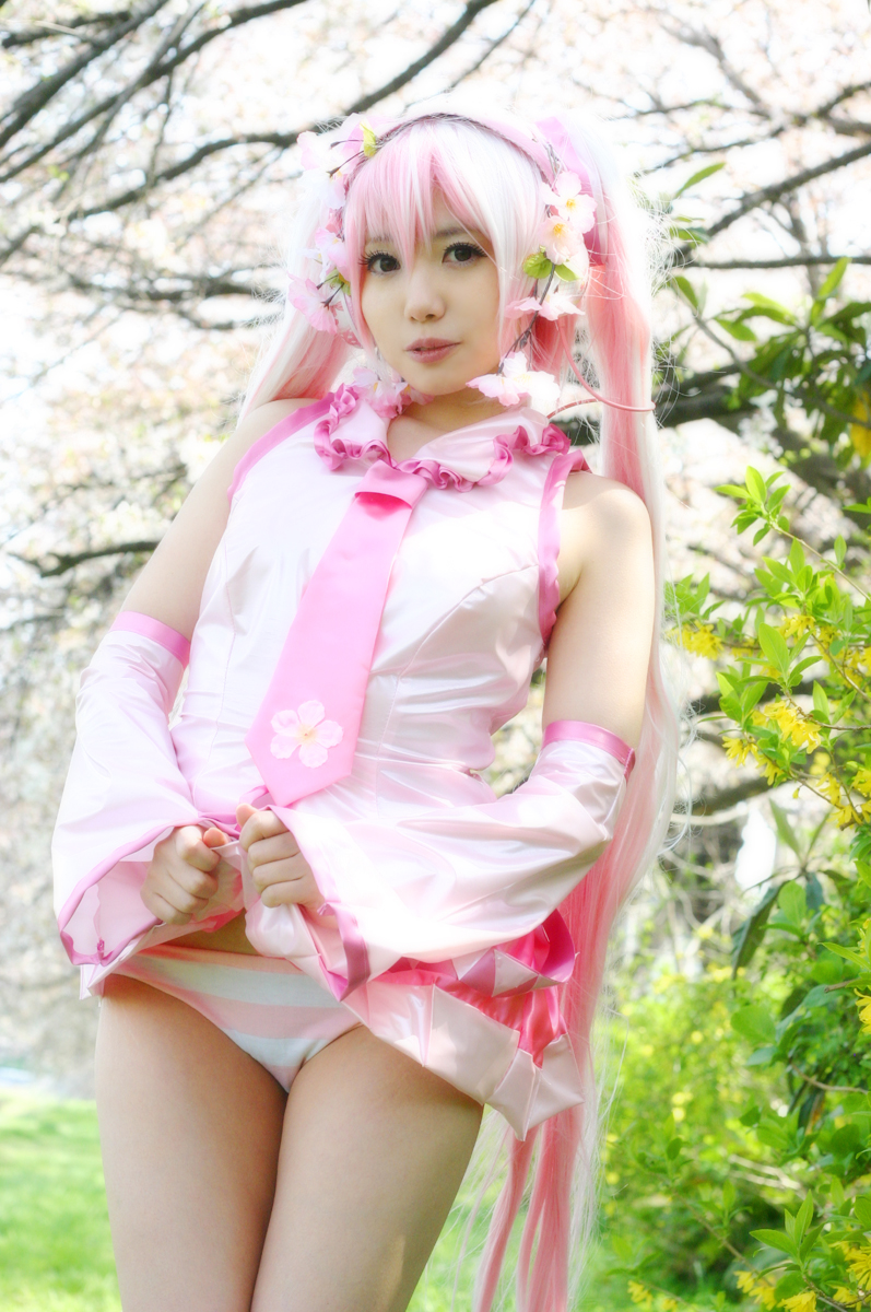 Mikku Miku Vol.1 Sakura Miku & Yuki Miku