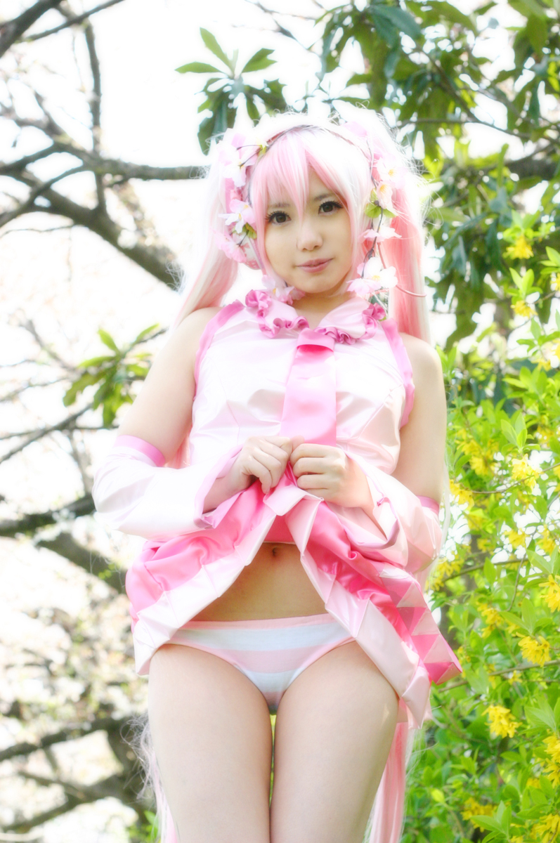 Mikku Miku Vol.1 Sakura Miku & Yuki Miku