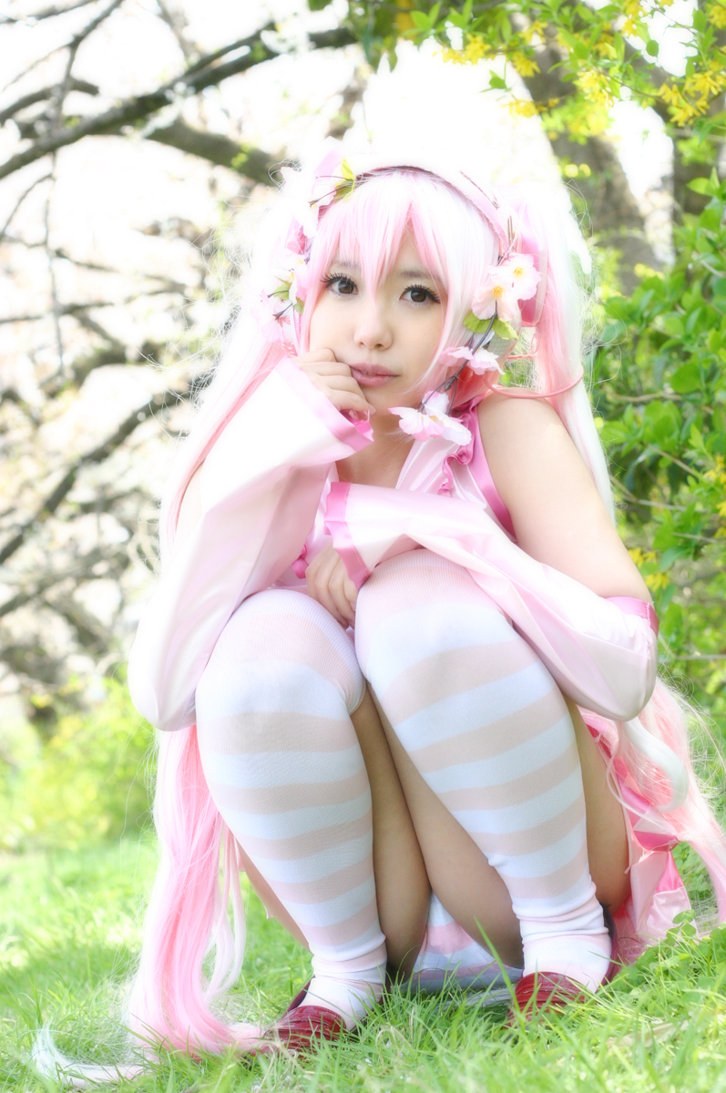 Mikku Miku Vol.1 Sakura Miku & Yuki Miku