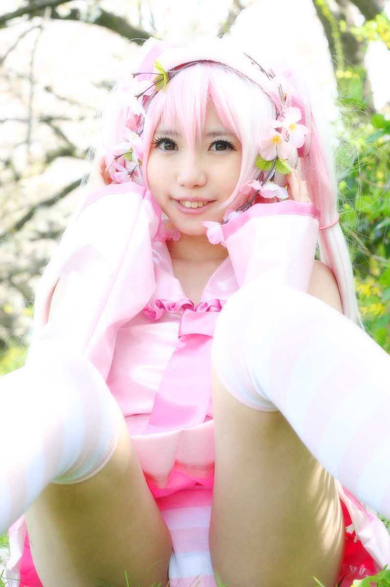 Mikku Miku Vol.1 Sakura Miku & Yuki Miku