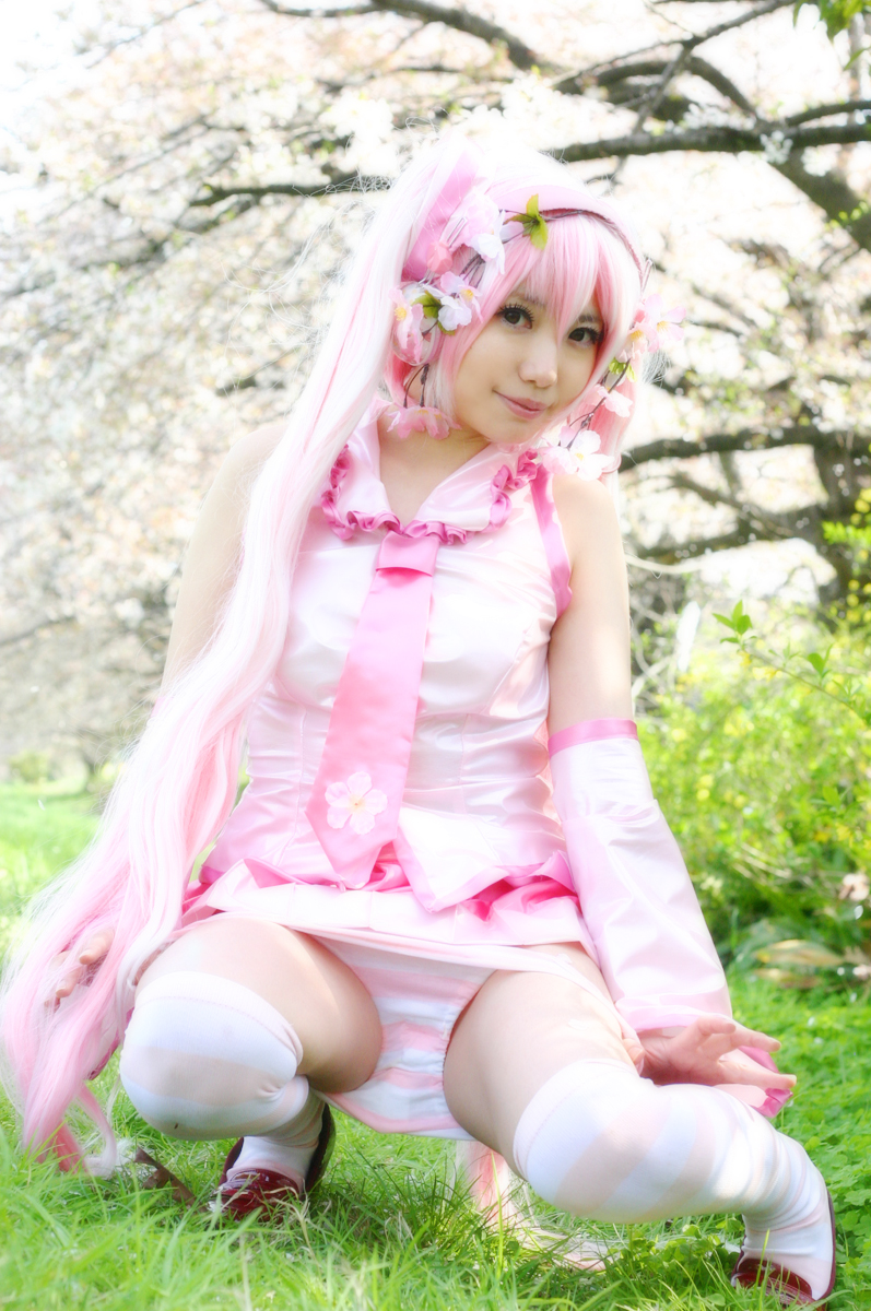 Mikku Miku Vol.1 Sakura Miku & Yuki Miku