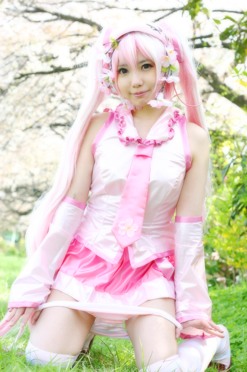 Mikku Miku Vol.1 Sakura Miku & Yuki Miku