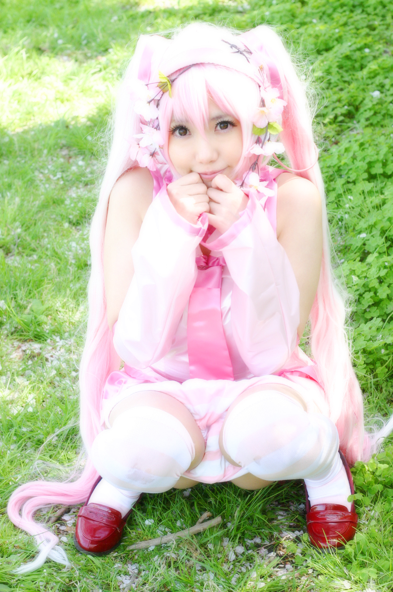 Mikku Miku Vol.1 Sakura Miku & Yuki Miku