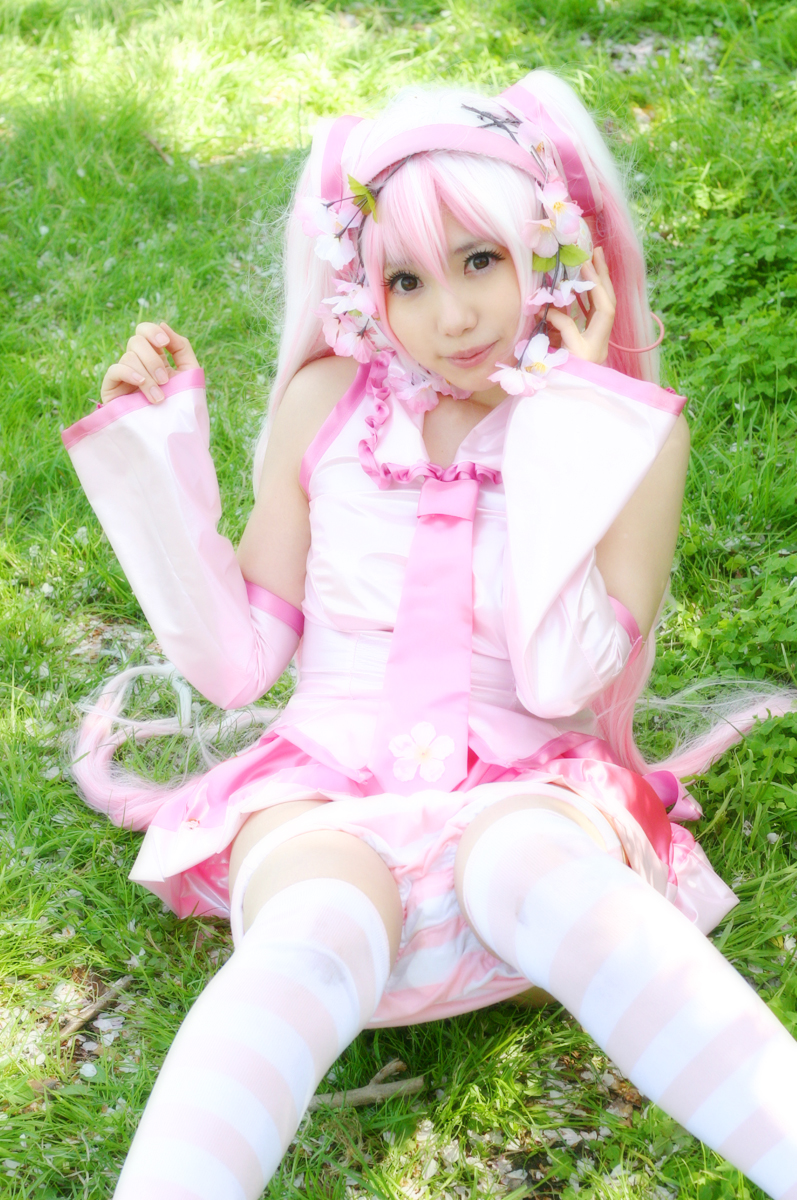 Mikku Miku Vol.1 Sakura Miku & Yuki Miku