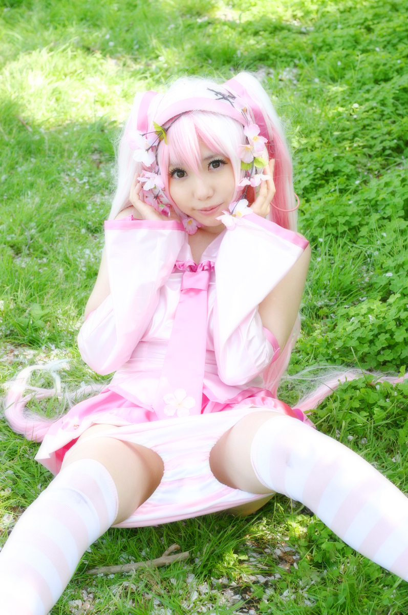 Mikku Miku Vol.1 Sakura Miku & Yuki Miku