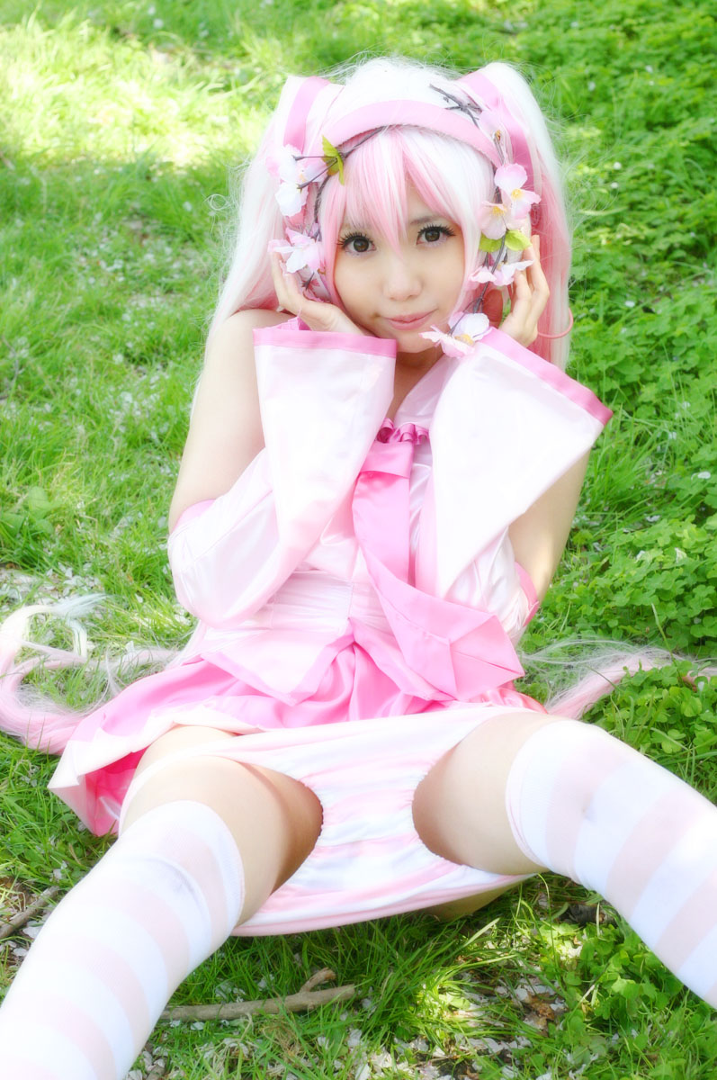 Mikku Miku Vol.1 Sakura Miku & Yuki Miku