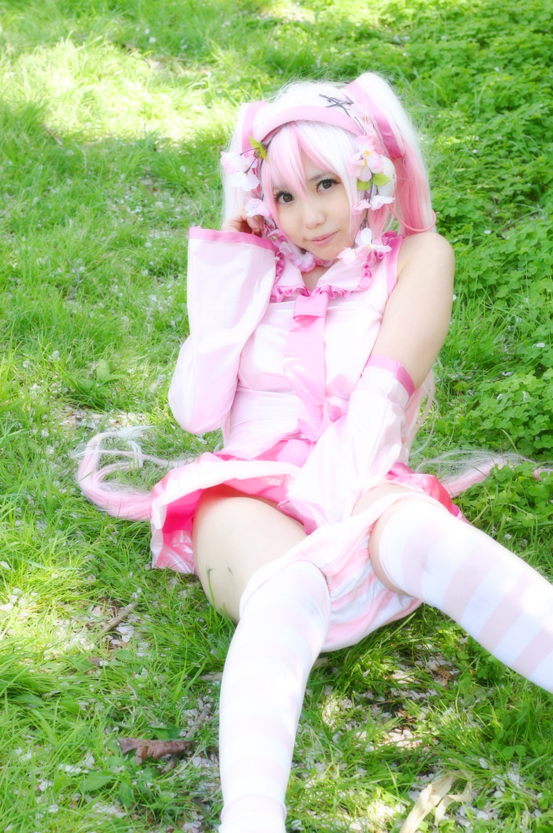 Mikku Miku Vol.1 Sakura Miku & Yuki Miku