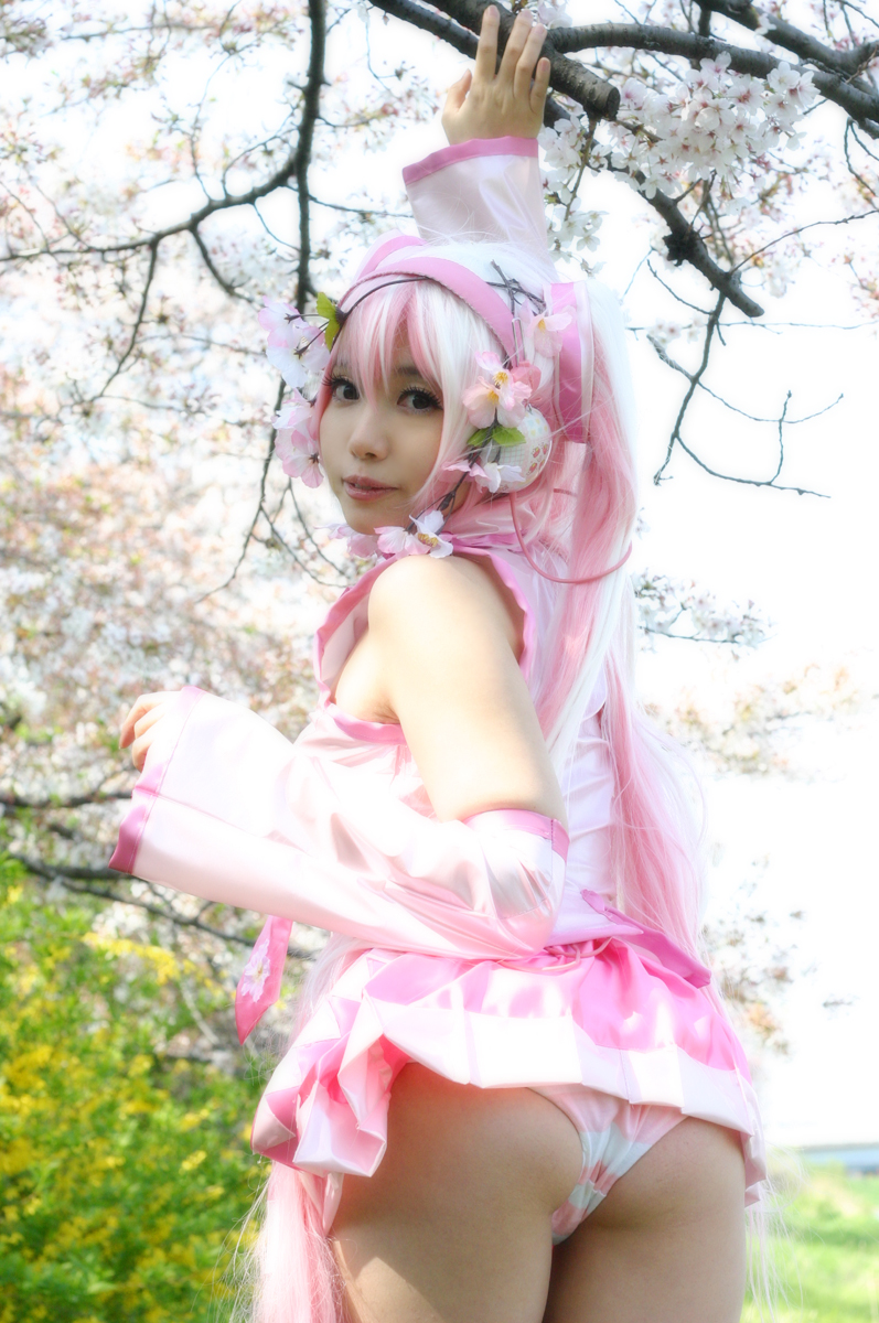 Mikku Miku Vol.1 Sakura Miku & Yuki Miku