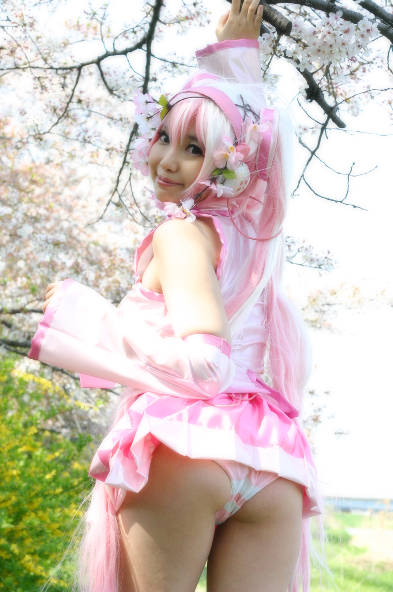 Mikku Miku Vol.1 Sakura Miku & Yuki Miku