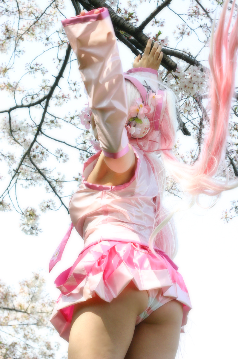 Mikku Miku Vol.1 Sakura Miku & Yuki Miku