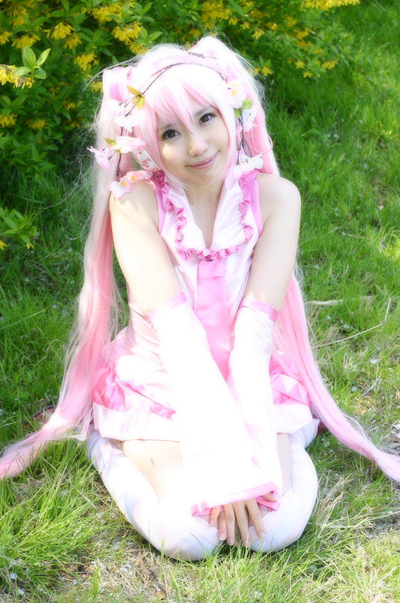 Mikku Miku Vol.1 Sakura Miku & Yuki Miku